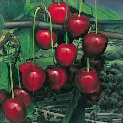 Qu'est-ce qu'avoir la guigne ?