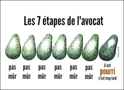 Quel est le nom argotique synonyme d'avocat ?