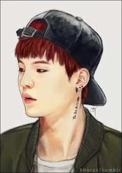 Quel BTS est dessiné ?