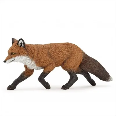 Comment s'appelle cet animal ?