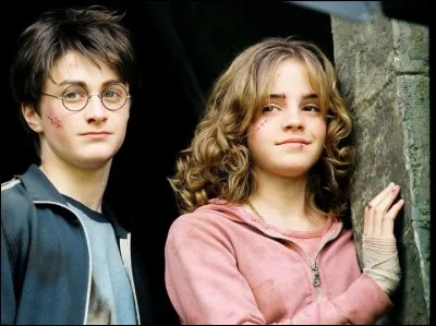 Qu'utilise Hermione pour retourner dans le passé avec Harry ?