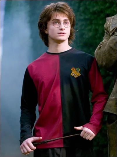 Dans "Harry Potter 4", quel dragon Harry doit-il affronter ?