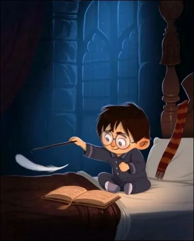 Où Harry les rencontrent-ils pour la première fois ?