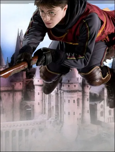 Qui apprend à Harry qu'il est un sorcier ?