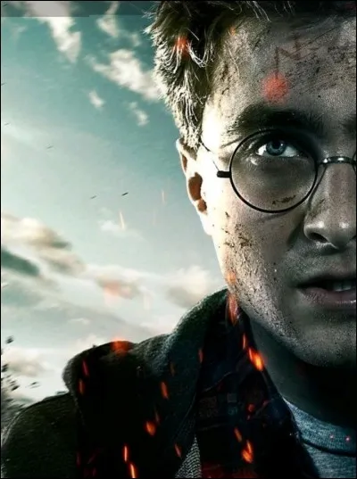 Quel est le nom complet d'Harry ?