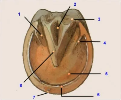 Comment se nomme la partie 5 ?