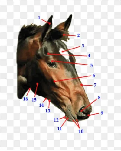 Comment se nomme la partie 1 ?