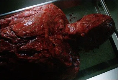 A qui appartenait le corps non identifiable et sans aucun ADN ?