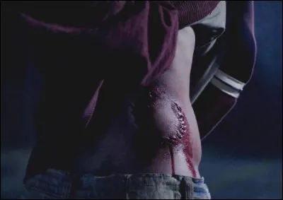 Suite à la morsure d'un Alpha, un humain...