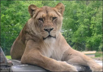 Quel animal d&eacute;testes-tu le plus ? (De peur ou pas)