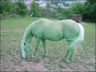 Cette robe existe-elle ?