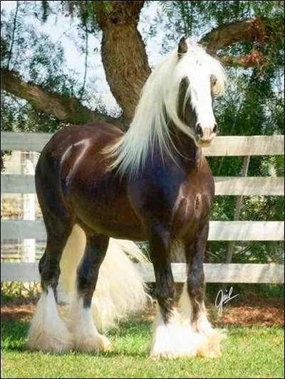 Quelle est cette robe ?