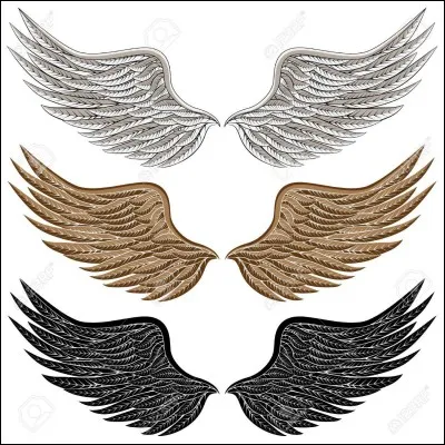 Qui est la sur de Lune de Cendre ?