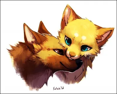 Et enfin, combien a-t-elle eu de chatons ?