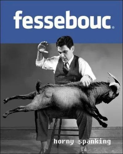 Lequel de ces rseaux convient le mieux  l'enseignement en France