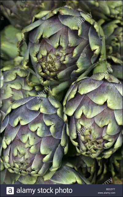 Donnez le nom latin de cette plante.