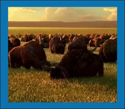 Dans quel film de Disney voit-on ces longhorns ?