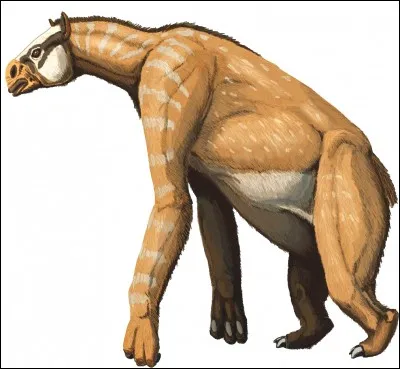 Comment s'appelle cet animal ?