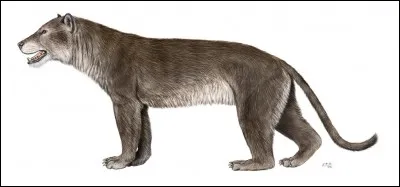 Comment s'appelle cet animal ?