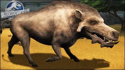 Comment s'appelle cet animal ?