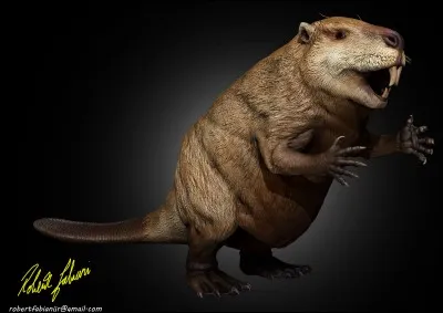 Comment s'appelle cet animal ?