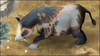 Comment s'appelle cet animal ?