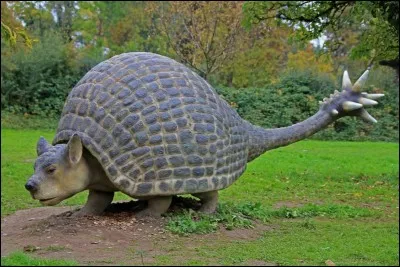 Comment s'appelle cet animal ?