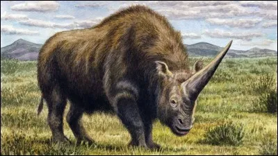 Comment s'appelle cet animal ?