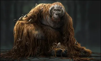 Comment s'appelle cet animal ?