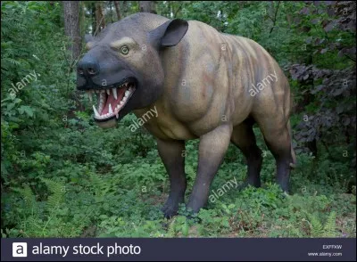 Comment s'appelle cet animal ?