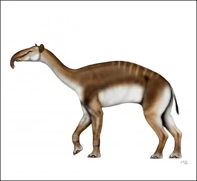 Comment s'appelle cet animal ?