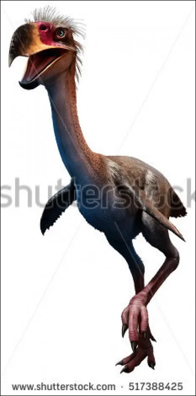 Comment s'appelle cet animal ?