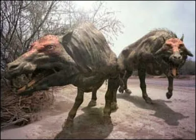 Comment s'appelle cet animal ?