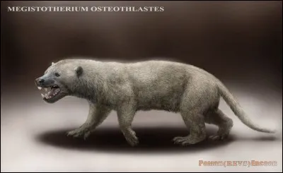 Comment s'appelle cet animal ?