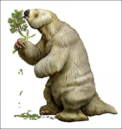 Comment s'appelle cet animal ?