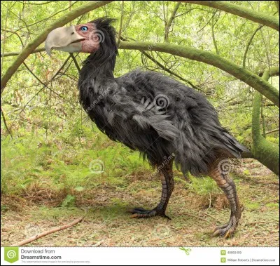 Comment s'appelle cet animal ?