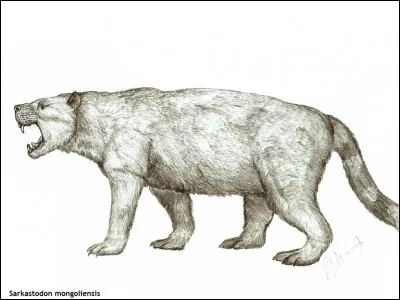 Comment s'appelle cet animal ?