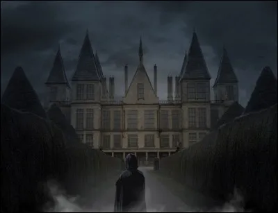 Quel est le nom du personnage ayant sauvé Harry dans le manoir des Malefoy (HP7) ?
