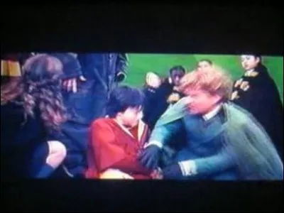 Quel est le nom du personnage ayant ensorcelé un Cognard qui a cassé le bras de Harry (Hp2) ?