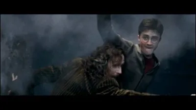 Quel est le nom du personnage ayant été le parrain de Harry Potter ?