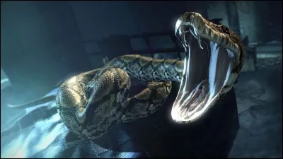 Quel est le nom du personnage ayant vaincu Nagini en lui tranchant la tête avec l'épée de Gryffondor (HP7) ?