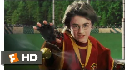 Quel est le nom du personnage ayant été le capitaine de l'équipe de quidditch de Gryffondor lors de l'entrée de Harry (HP1) ?