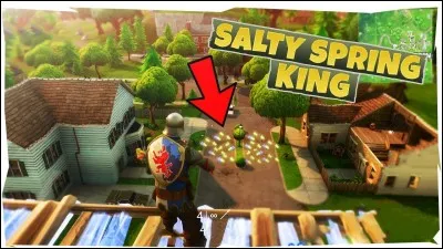 Combien y a-t-il de bâtiments à Salty Springs ? (en comptant la station service)