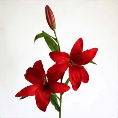 Avec tes amis, tu es...