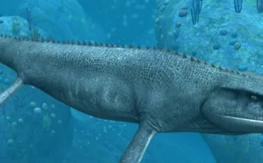 Quiz Dinosaures