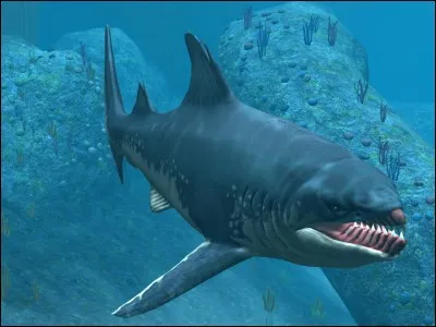 Comment s'appelle cette créature marine ?