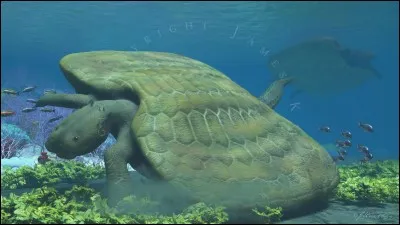 Comment s'appelle cette créature marine ?