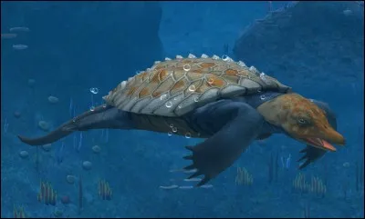 Comment s'appelle cette créature marine ?