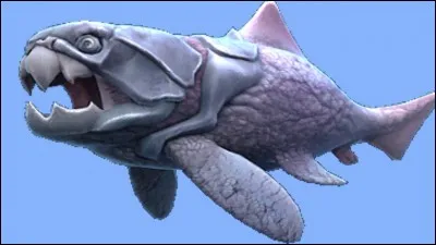 Comment s'appelle cette créature marine ?