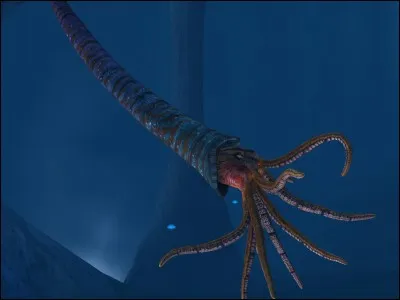 Comment s'appelle cette créature marine ?